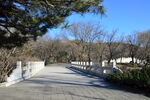 公园风景  