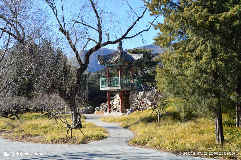 公园风景 