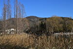 公园风景 