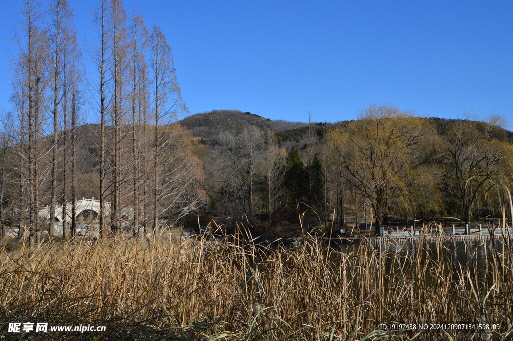 公园风景 