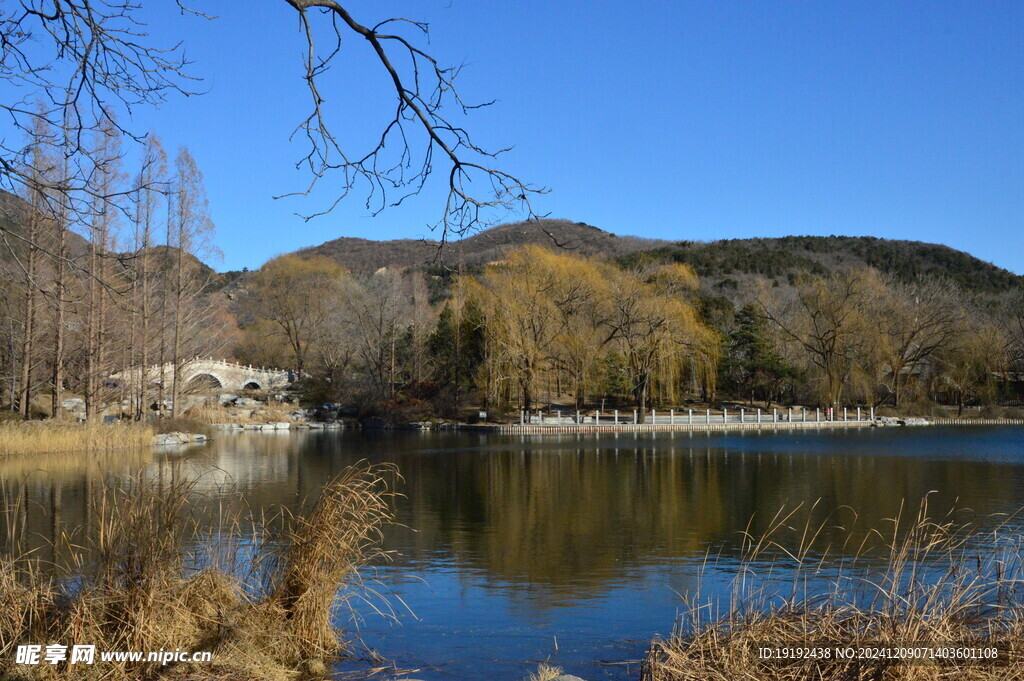 冬日风景 