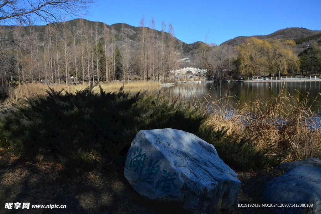 公园风景  