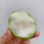 大青枣