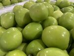大青枣