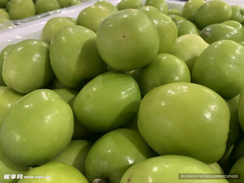 大青枣