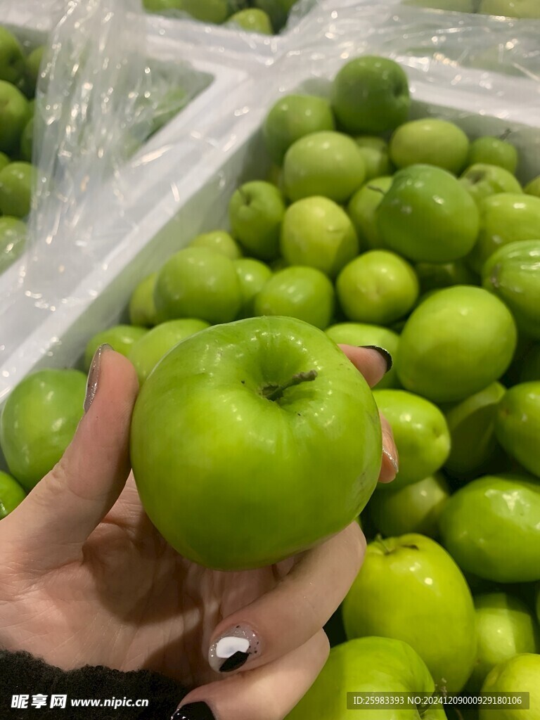 大青枣
