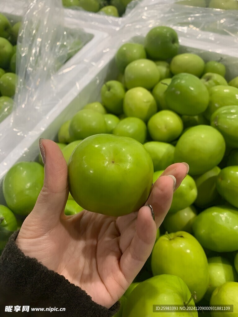 大青枣