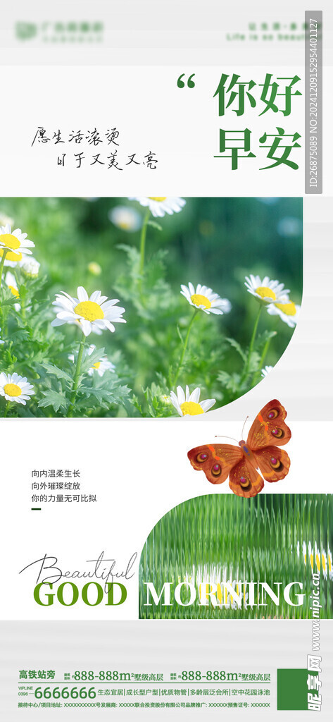 医美早安图