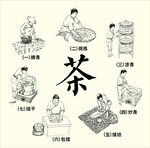 制茶工艺