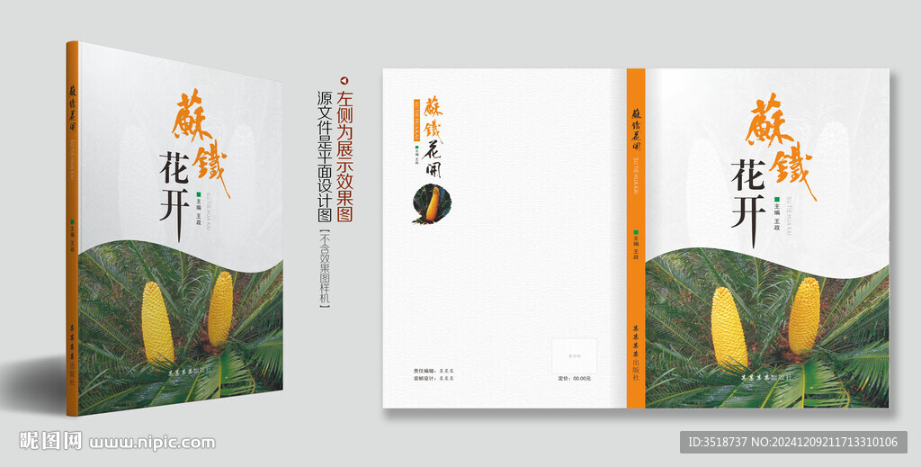 图书封面设计模板