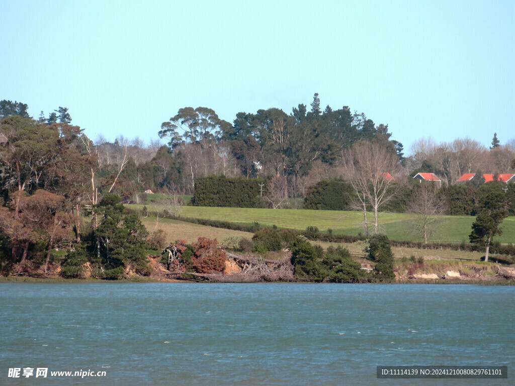 奥克兰海边风景