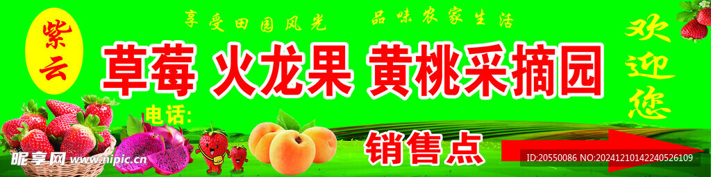 草莓 火龙果 黄桃