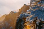 黄山风景