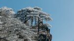 黄山风景