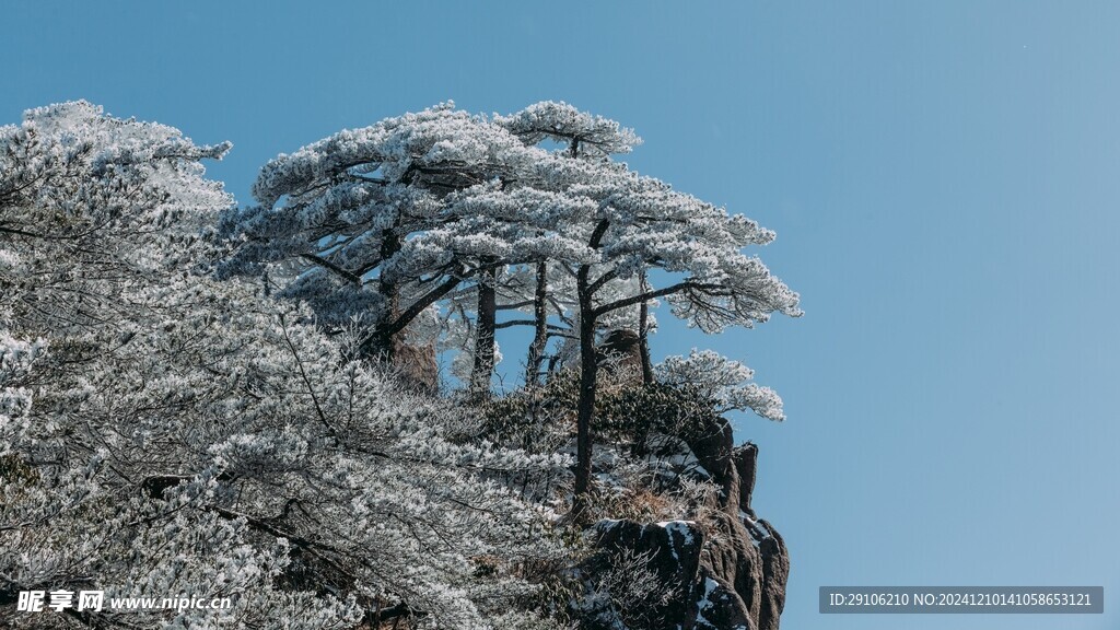 黄山风景