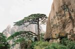 黄山风景