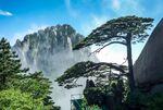 黄山风景