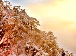 黄山风景