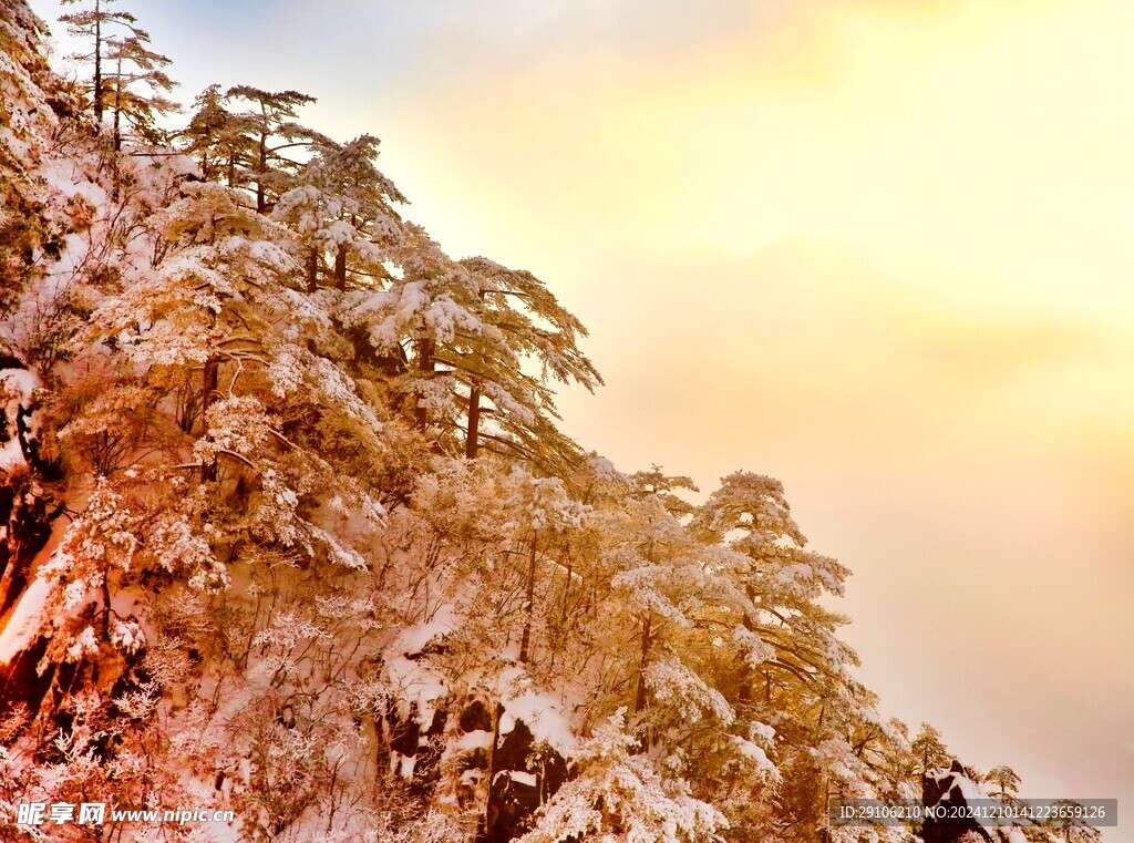 黄山风景