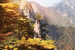 黄山风景