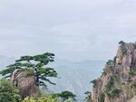 黄山风景