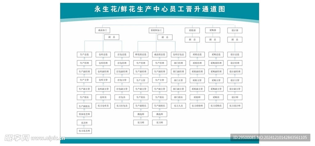 员工晋升通道图