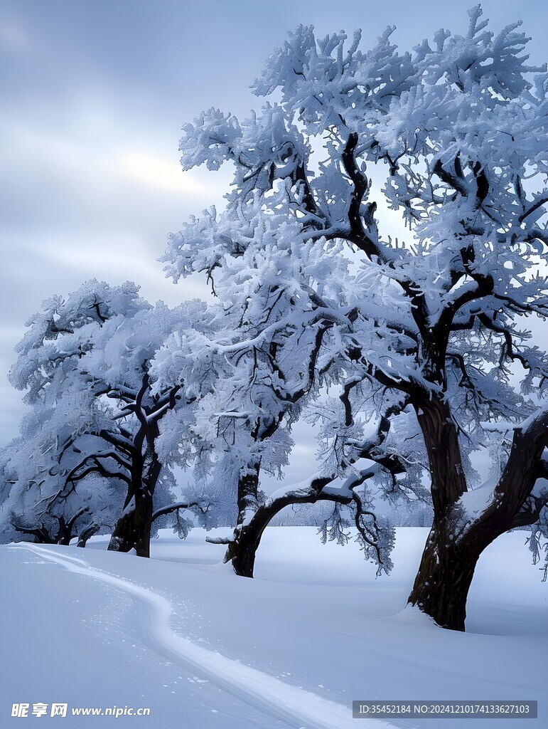 积雪的树林