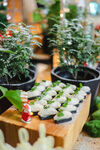 圣诞节