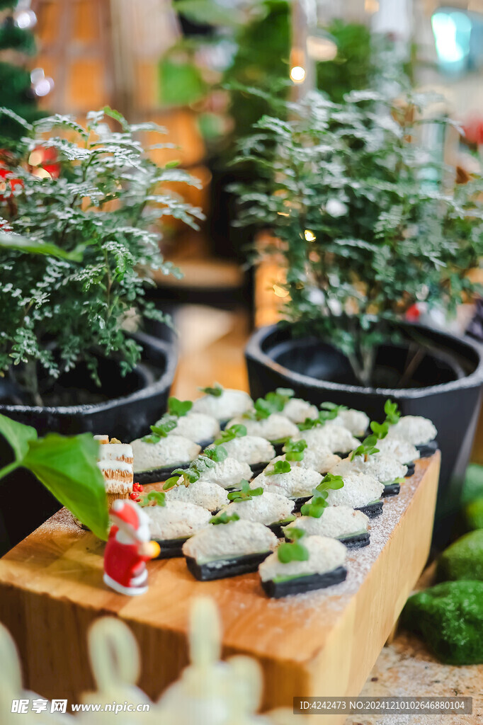 圣诞节