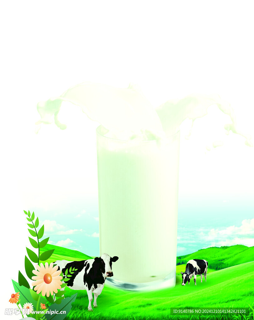 奶杯草地奶牛