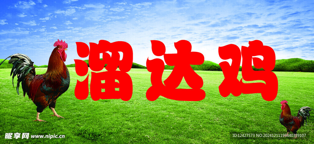 溜达鸡