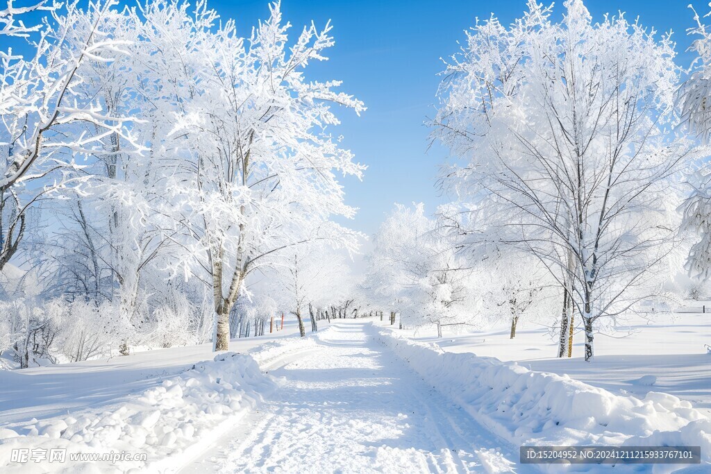 冬日林间雪景