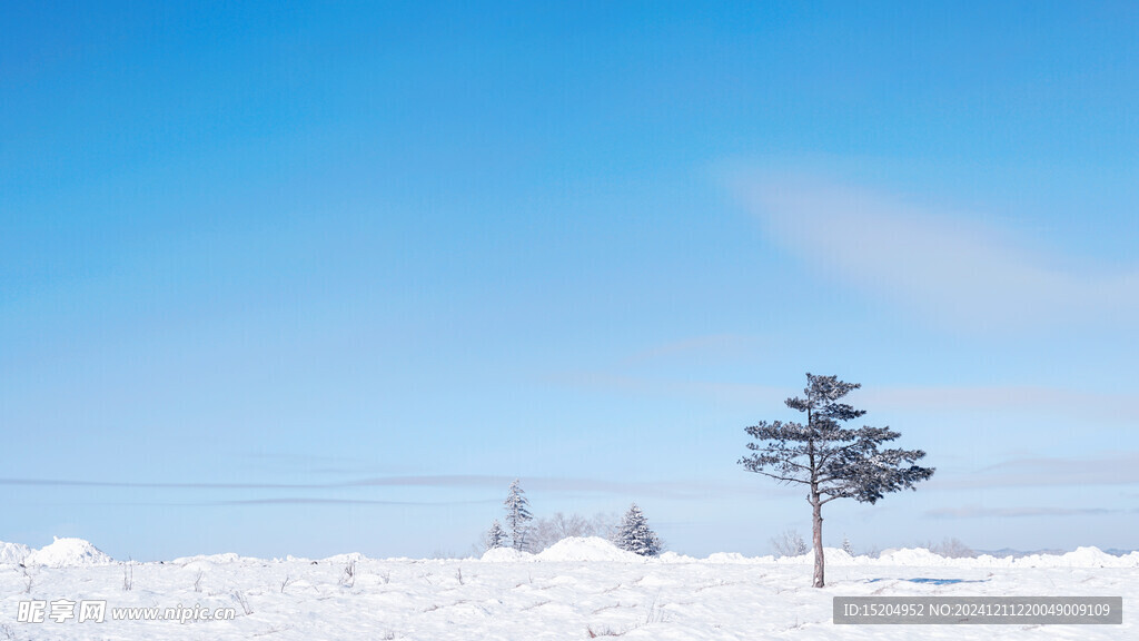 雪乡雪景孤独的树