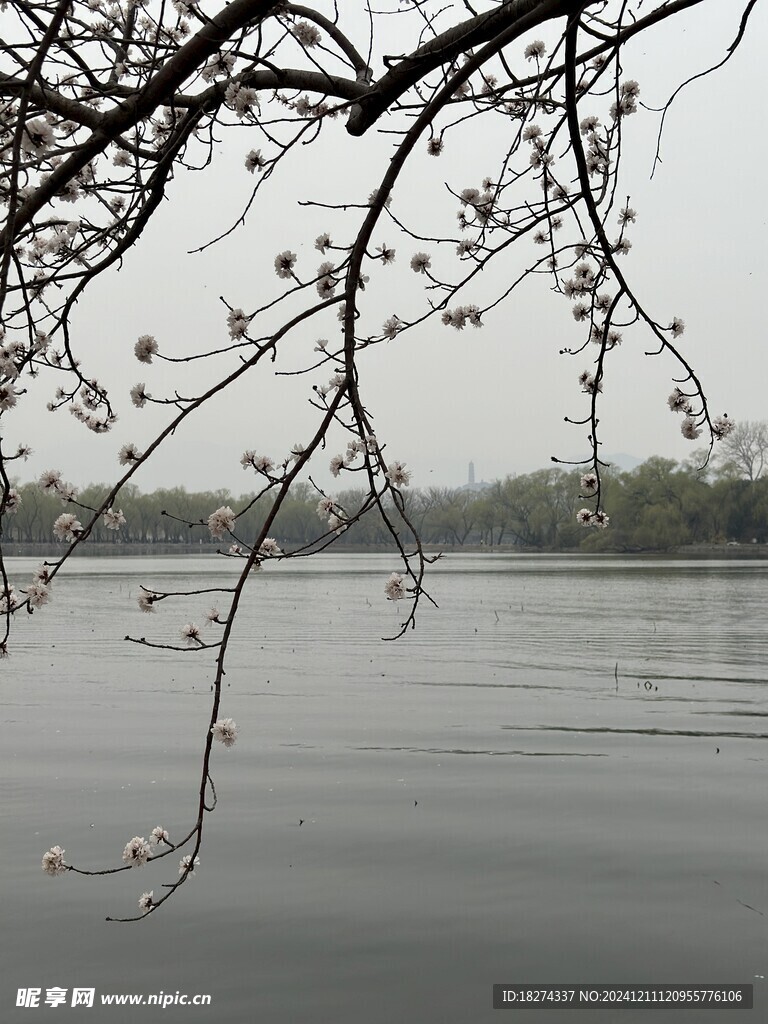 颐和园风景