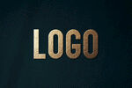 LOGO样机