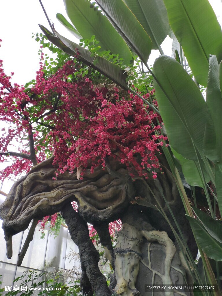 园林艺术