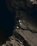 岩石上的海鸥
