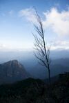 山川眺望