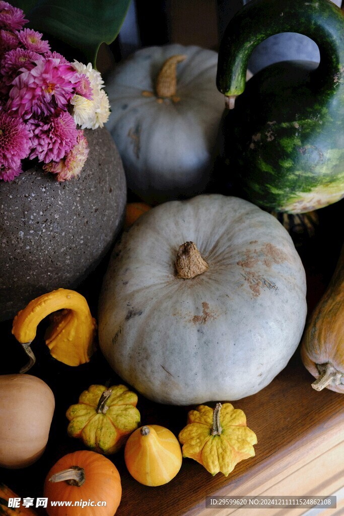 南瓜  