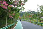 新农村公路