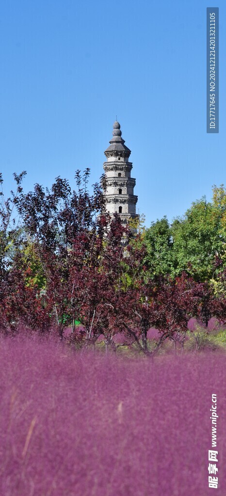 衡水宝云寺