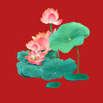 手绘荷花莲花 