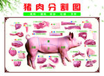 猪肉