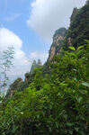 大高山 