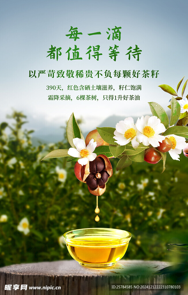 山茶油海报