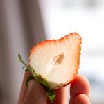 草莓