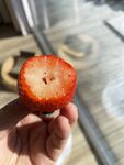草莓