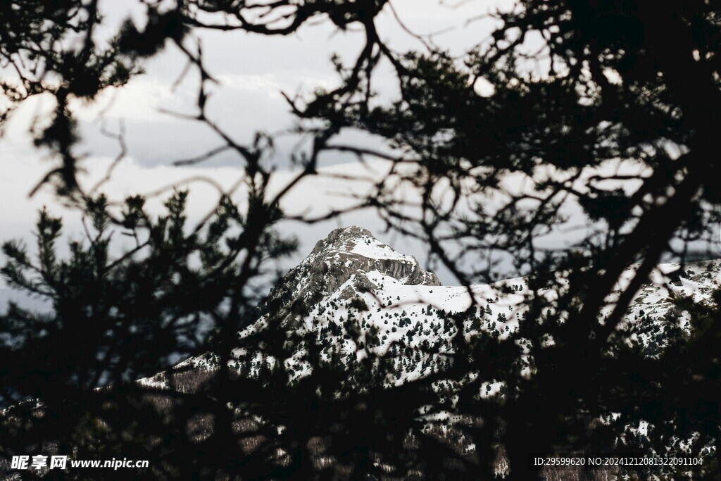 雪山  