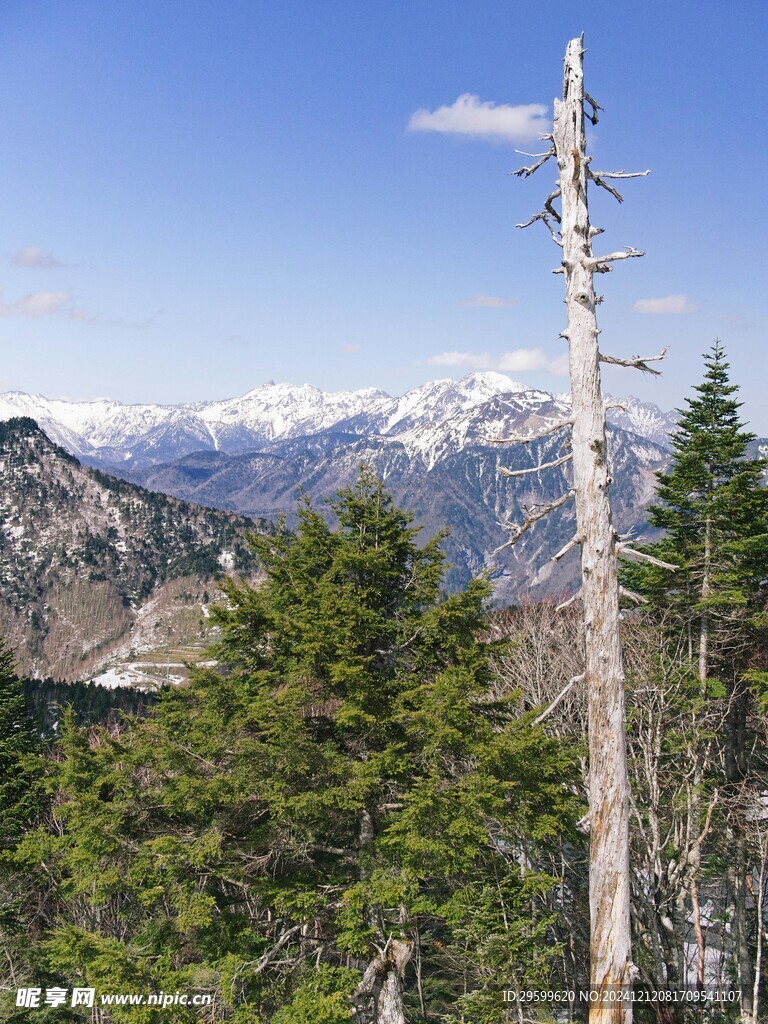 雪山  