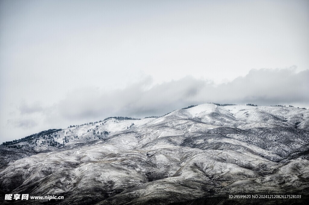 雪山 